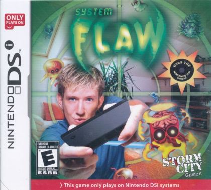 System Flaw Dsi - Nintendo DS